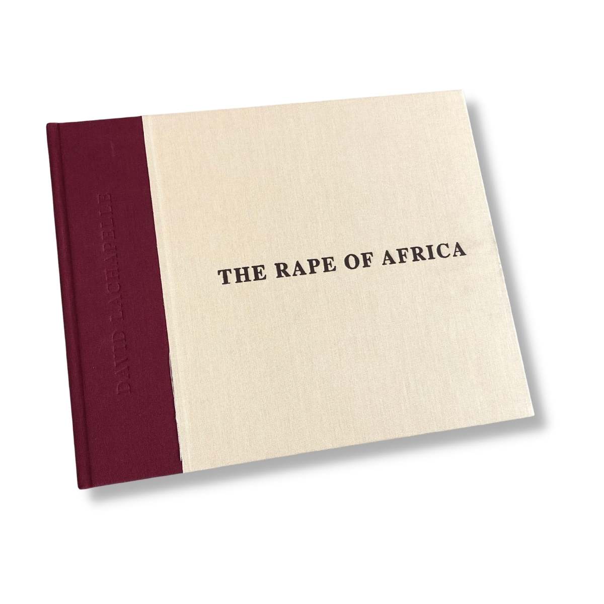 David LaChapelle - The Rape of Africa