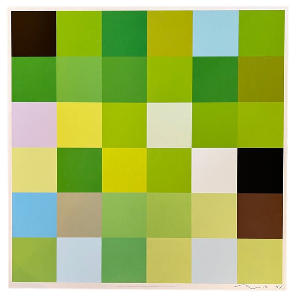 Takashi Murakami - Terre Verte