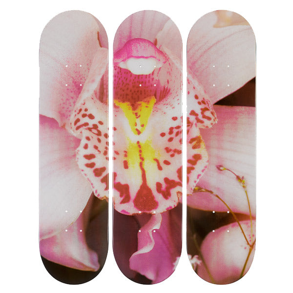 Other Skateboard Decks