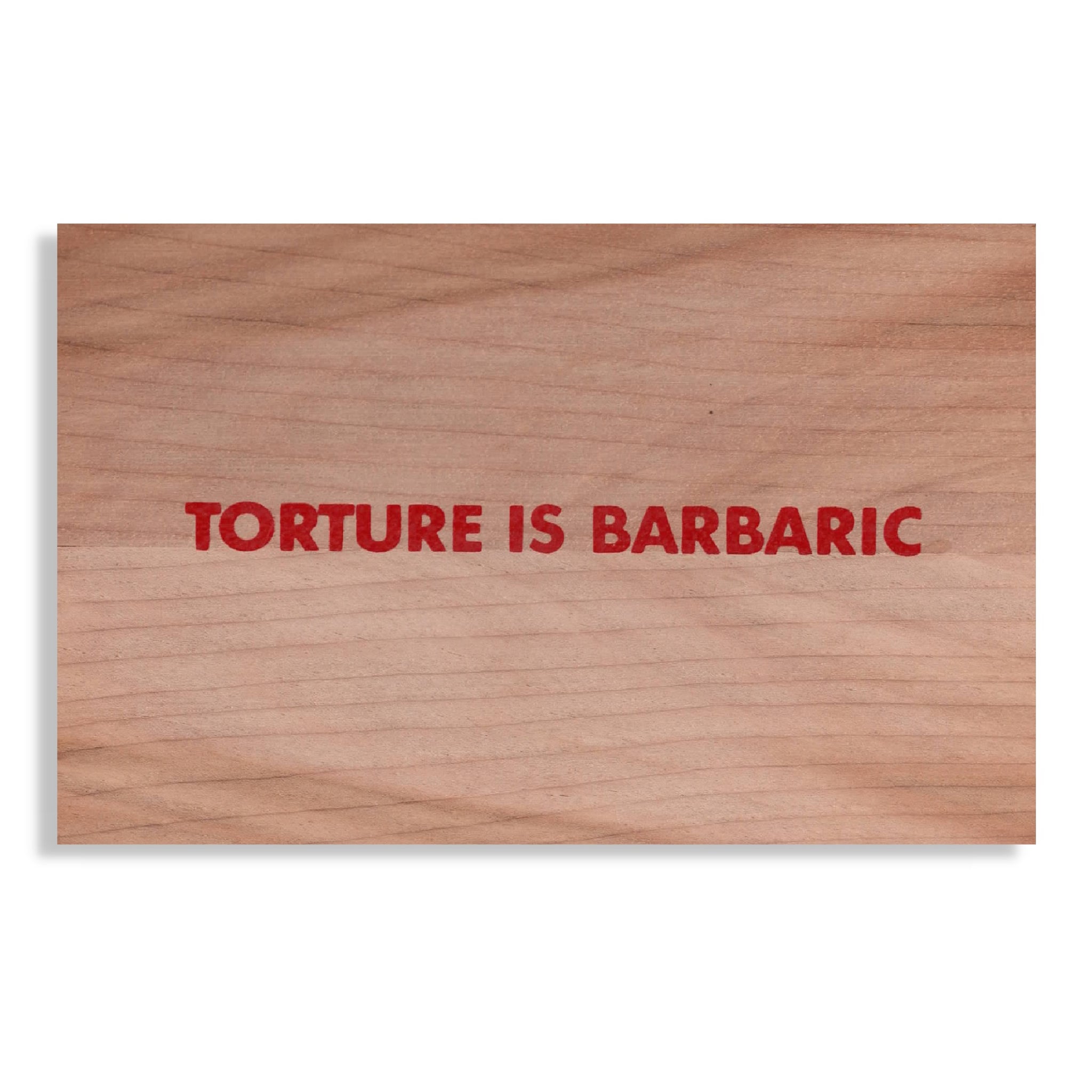 Jenny Holzer - Truism [Torture Is Barbaric]