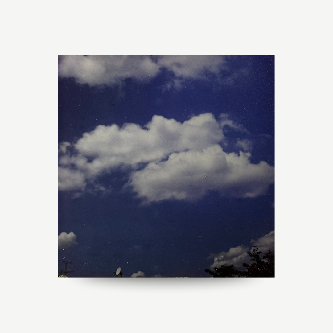 Nobuyoshi Araki - Untitled Polaroid