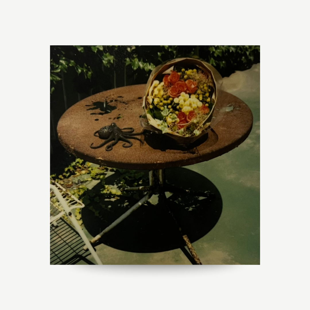 Nobuyoshi Araki - Untitled Polaroid
