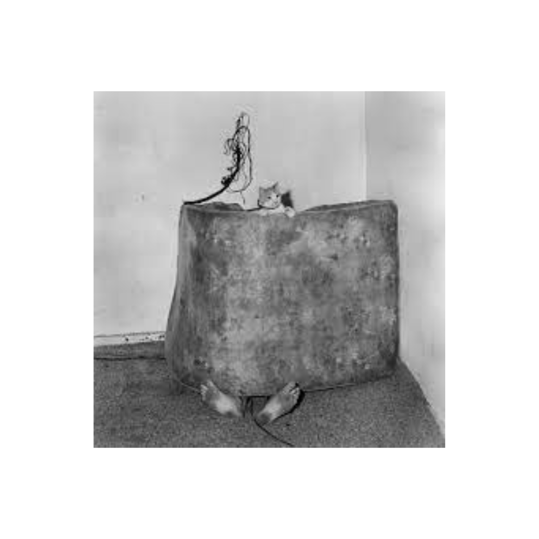 Roger Ballen - Animal Abstraction (Signed)