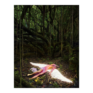 David LaChapelle – Act of Nature