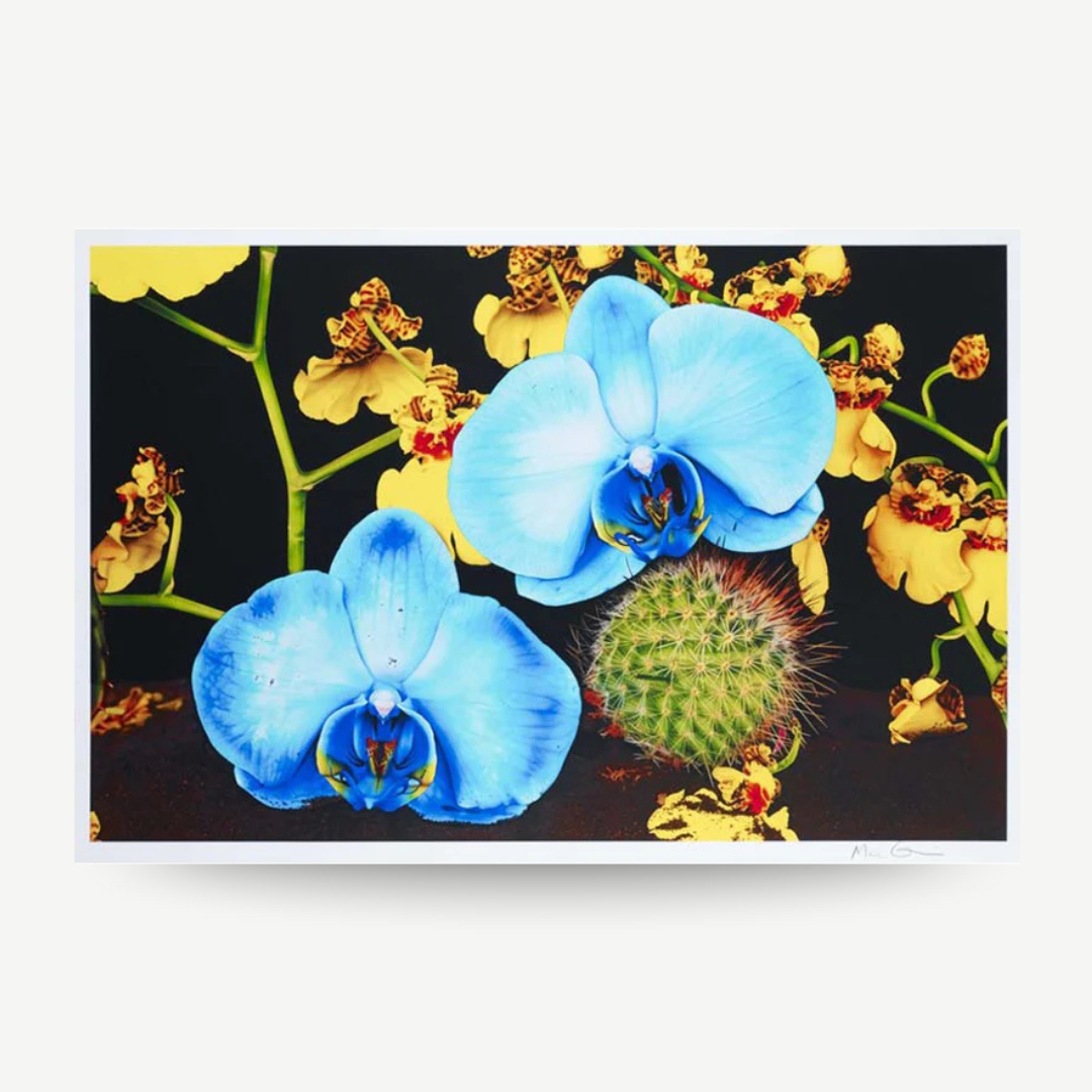Marc Quinn - Unter dem Vulkan
