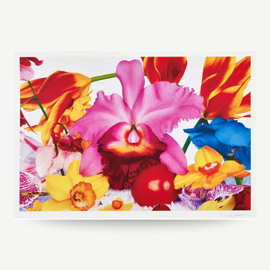 Marc Quinn – Isländisches Lavaflugzeug