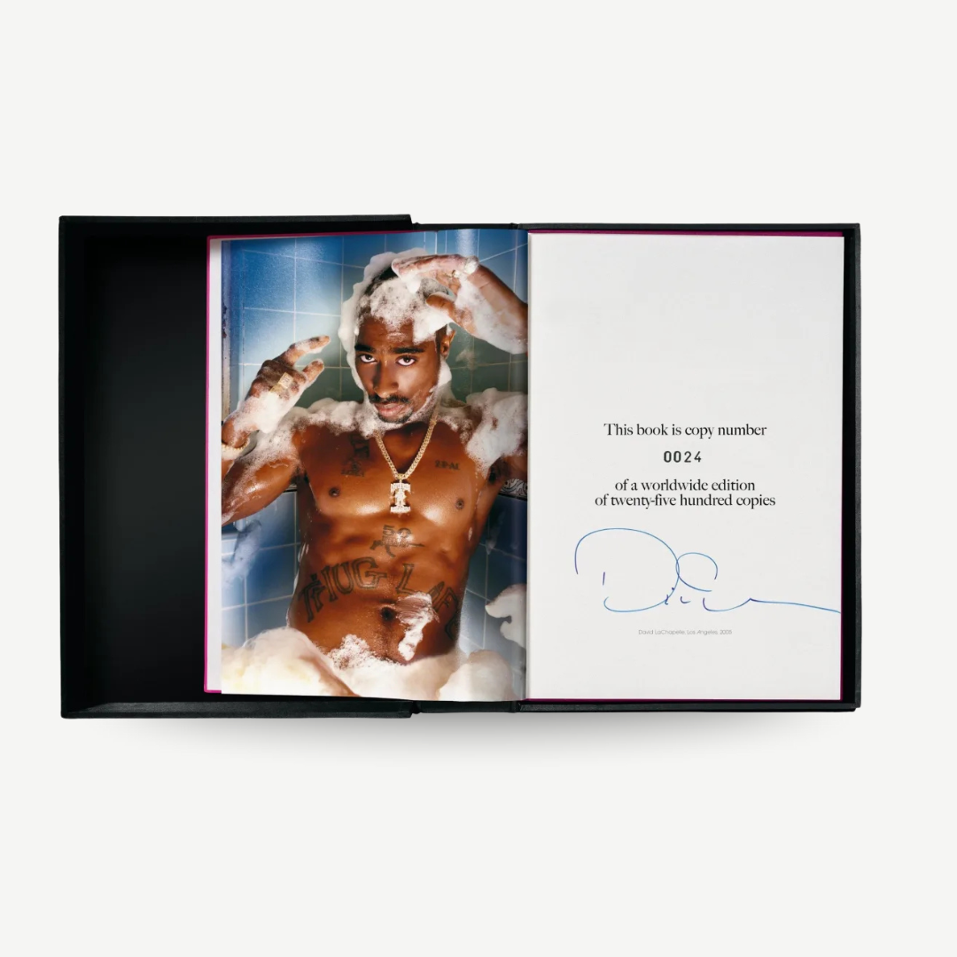David LaChapelle - Artists & Prostitutes (Signed)
