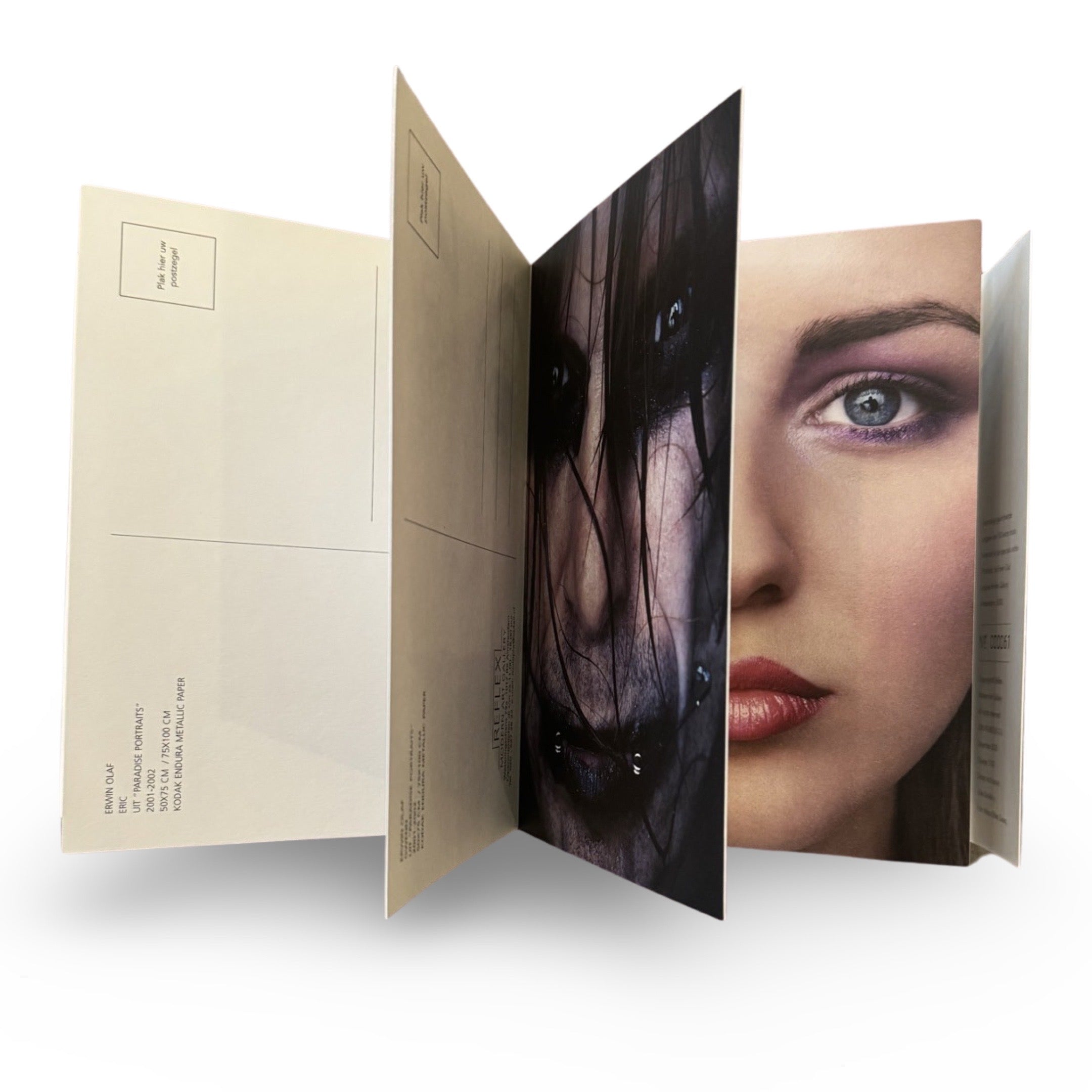 A book cover featuring a close-up portrait of a person with a dark face illuminated by a light source, with the title 'Paradise Portraits' by Erwin Olaf.