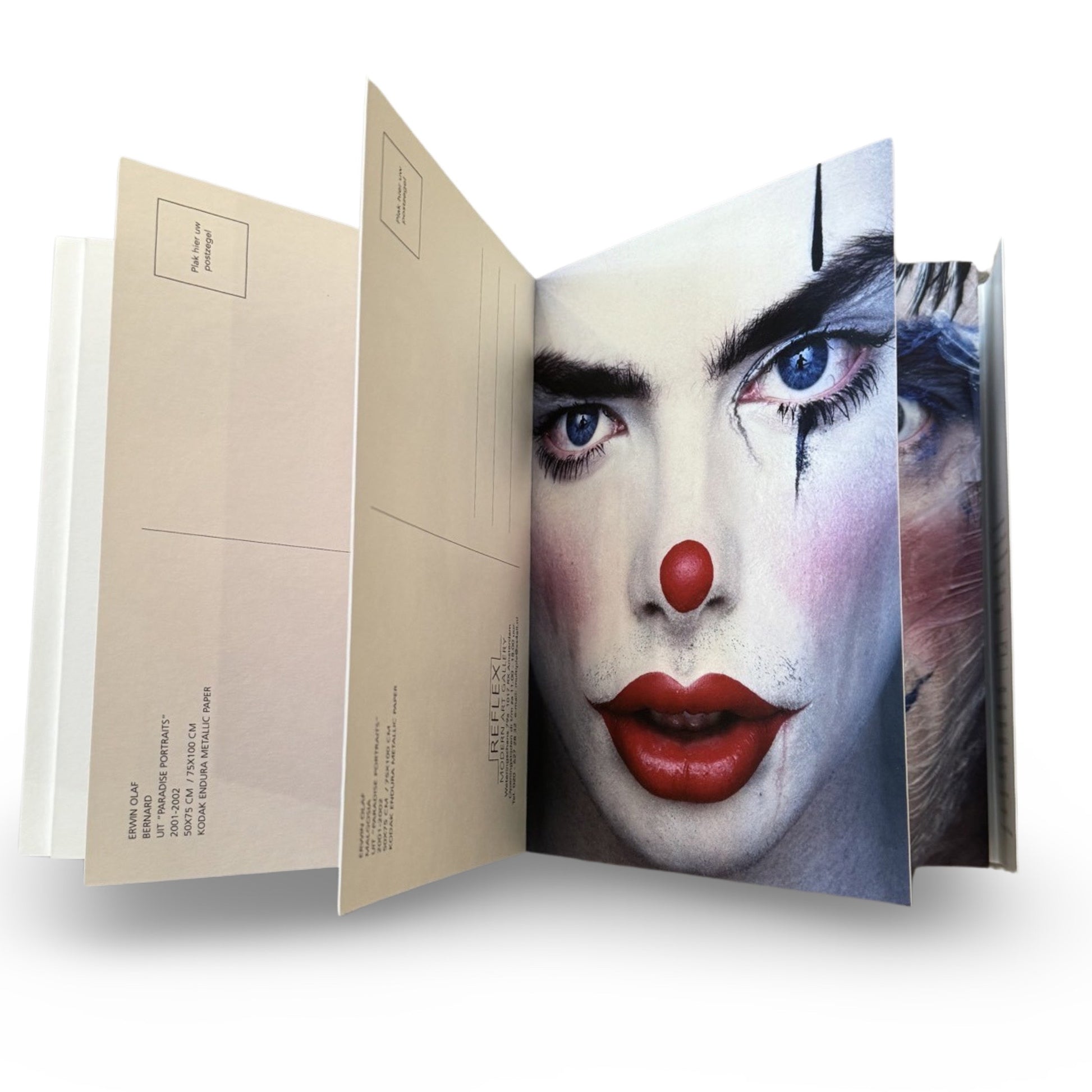 A book cover featuring a close-up portrait of a person with a dark face illuminated by a light source, with the title 'Paradise Portraits' by Erwin Olaf.