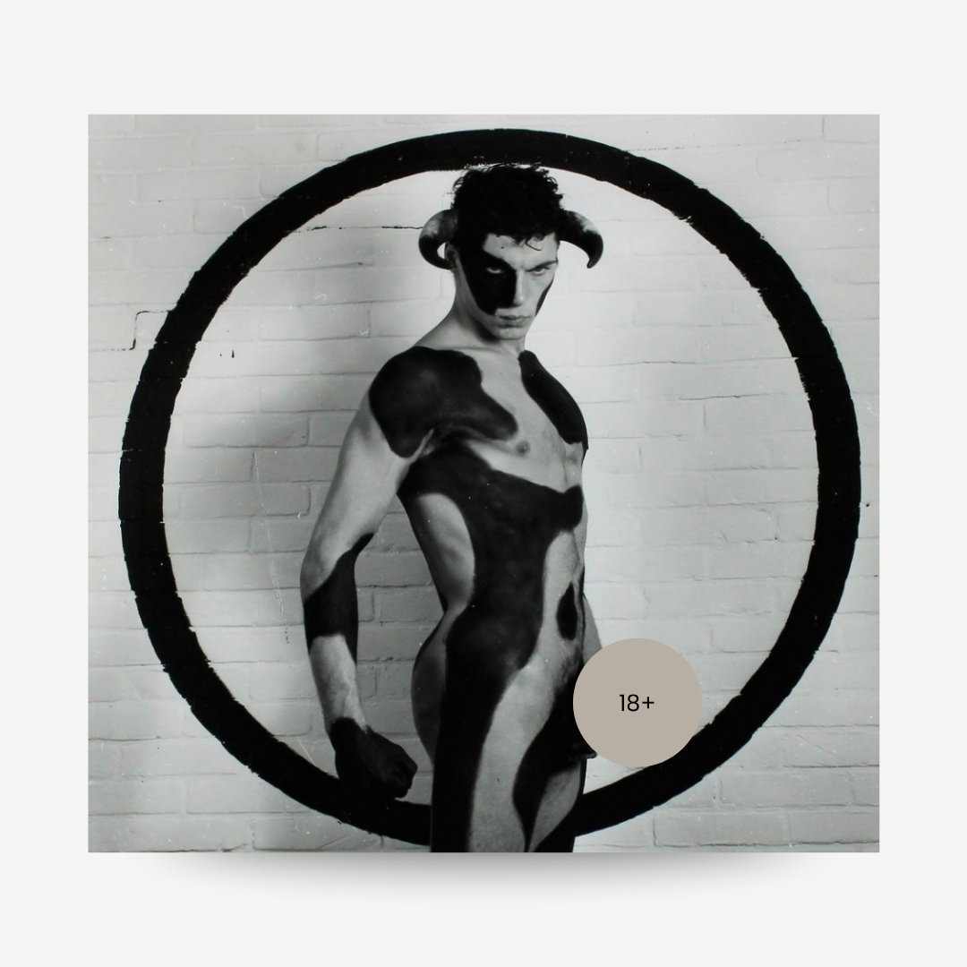 Original signed and numbered photo by Paul Blanca. For Sale. Bull original Paul Blanca artwork.