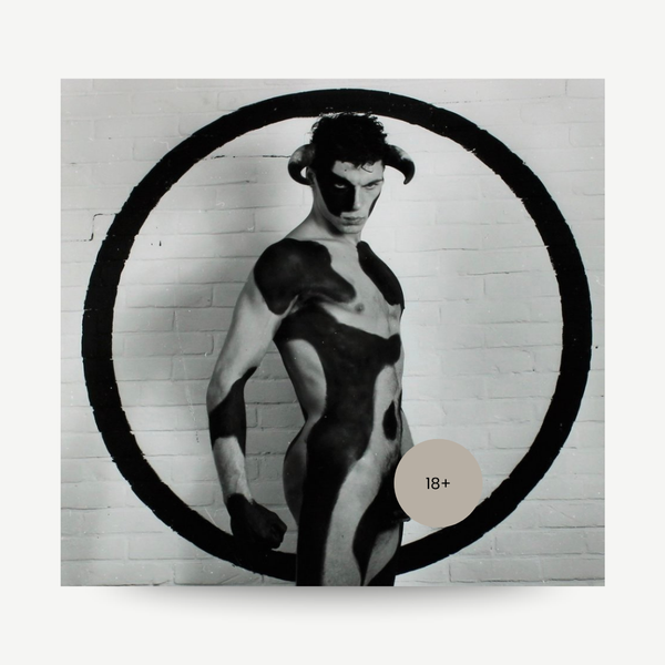 Original signed and numbered photo by Paul Blanca. For Sale. Bull original Paul Blanca artwork.