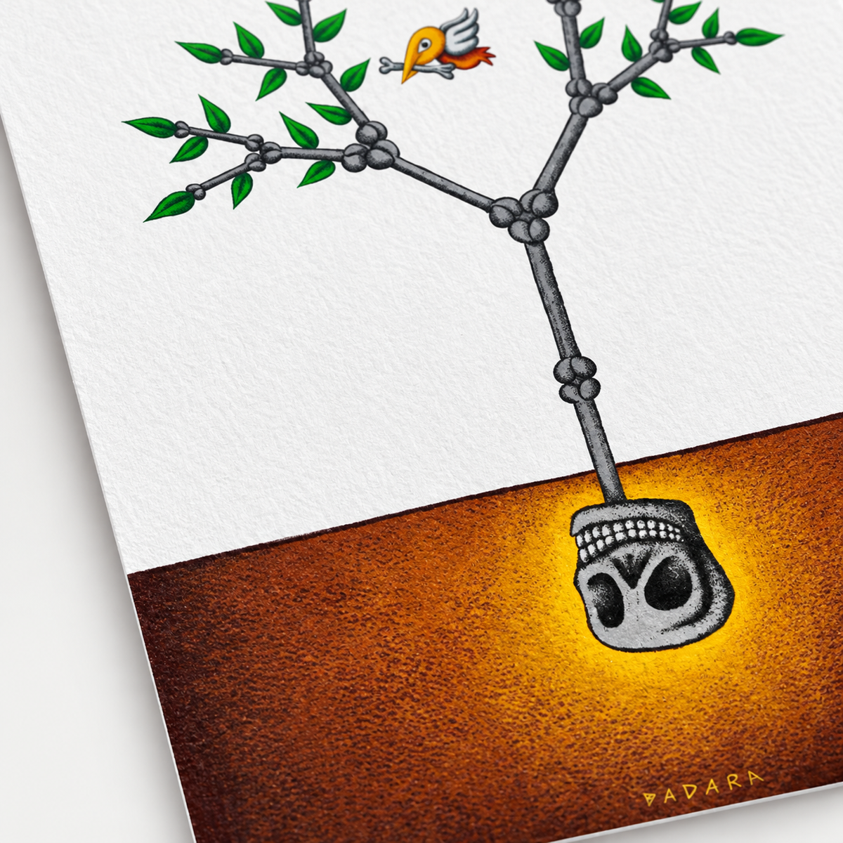 Dadara - Totenkopfpflanze