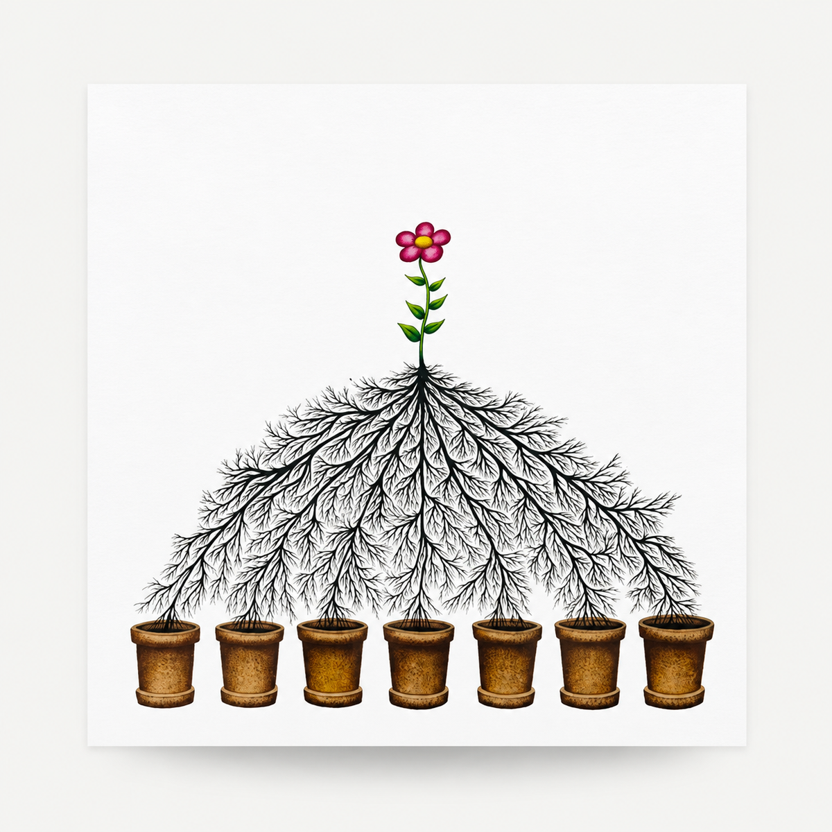 Dadara - Pots de fleurs