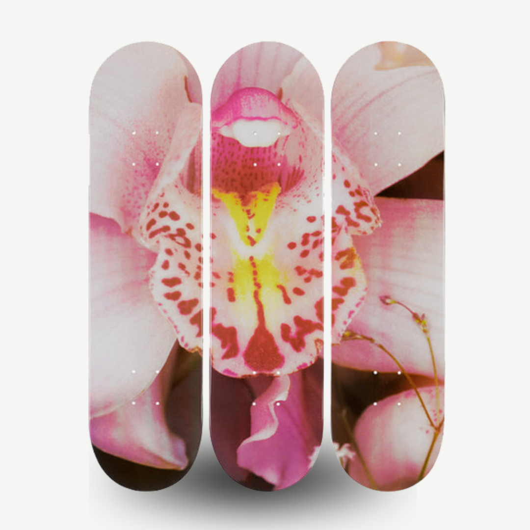 The Skateroom x Nobuyoshi Araki - Orchid