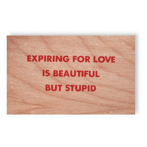 Jenny Holzer - Truism 'Expiring For Love Is Beautiful But Stupid'