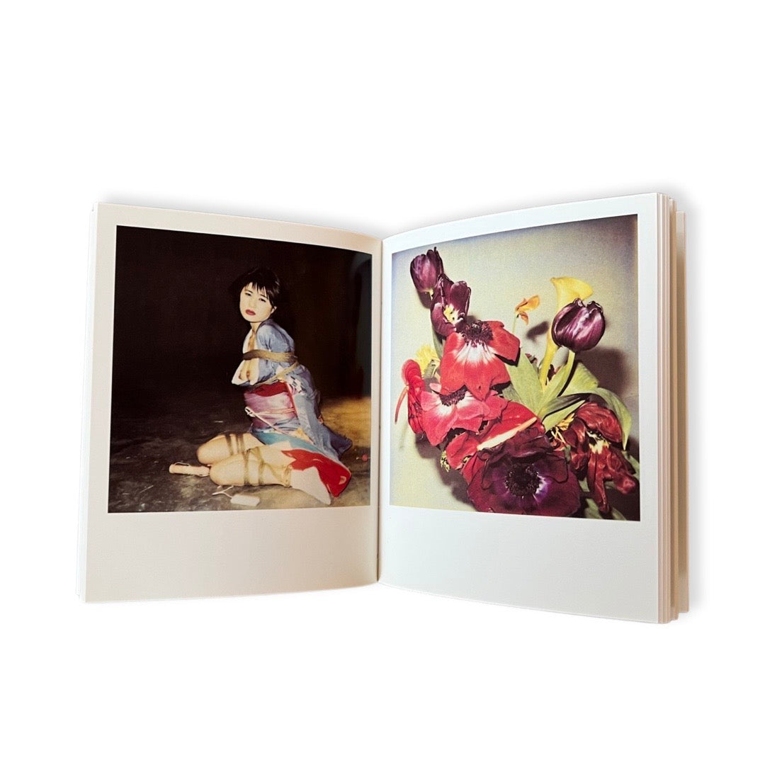 Nobuyoshi Araki - Polaeroid