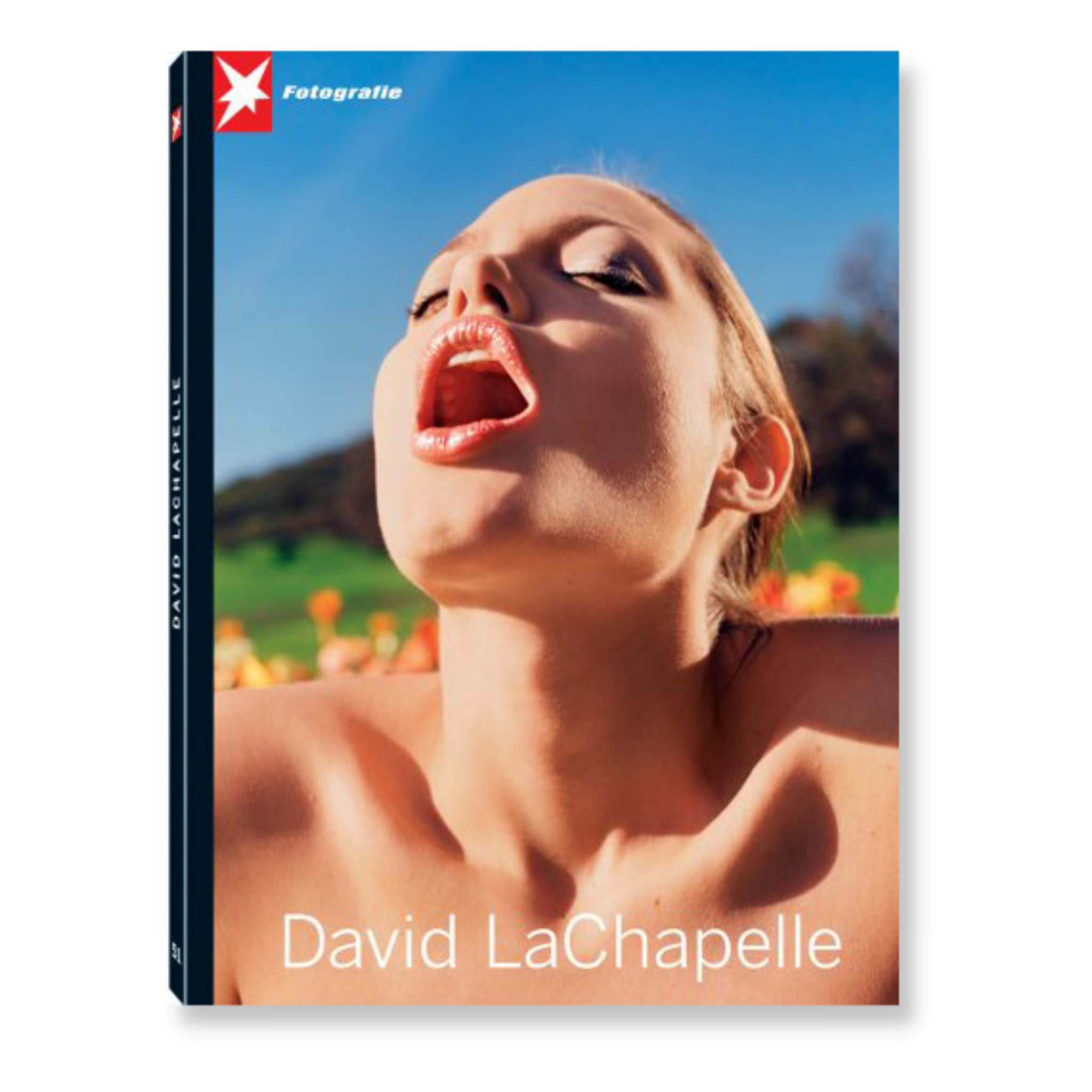 David LaChapelle - Stern Portfolio Nr. 51